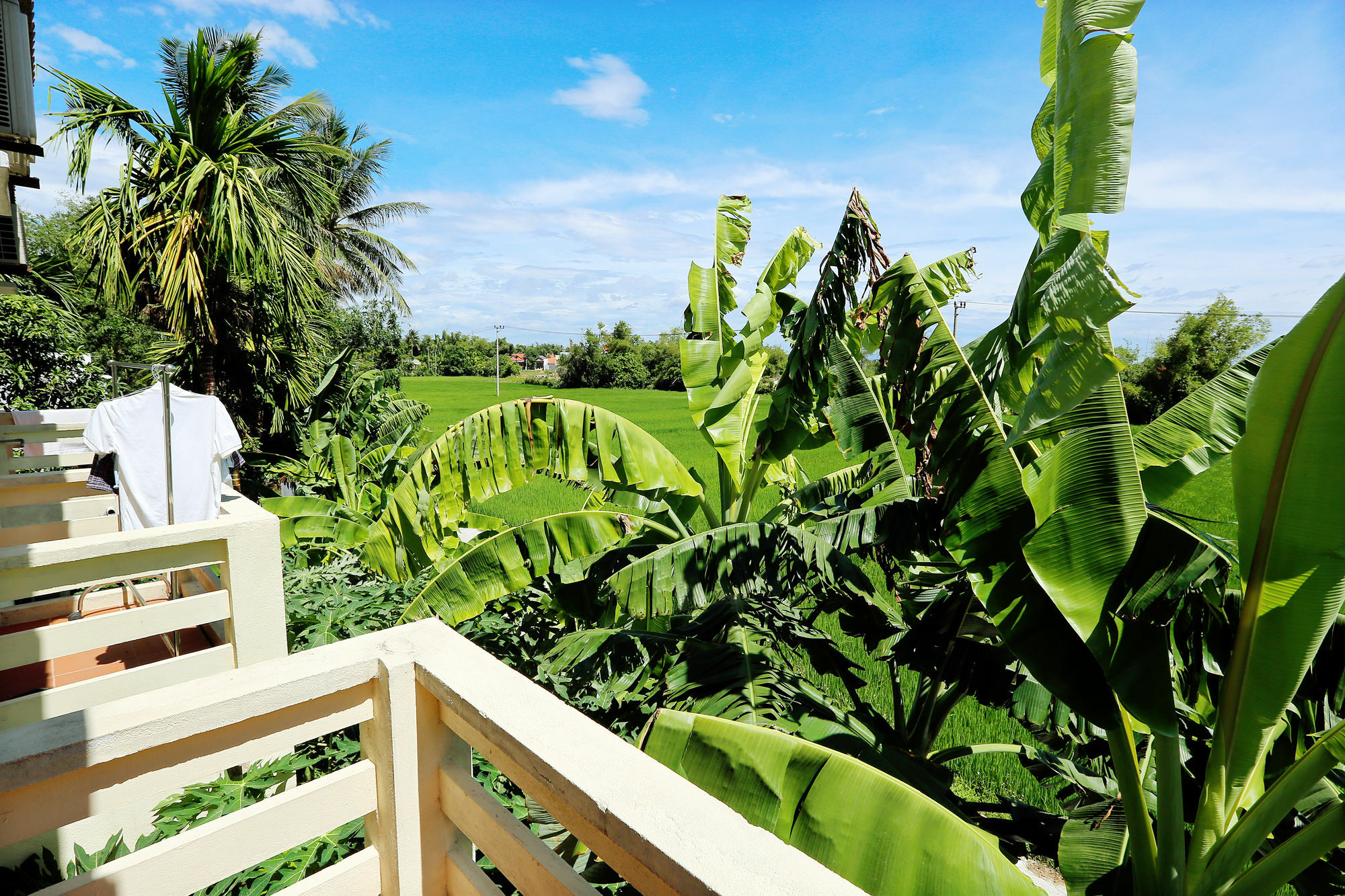 Do River Homestay Hội An Extérieur photo